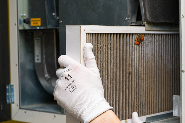 Best Commercial Air Duct Cleaning  in Squirrel Mountain Valley, CA