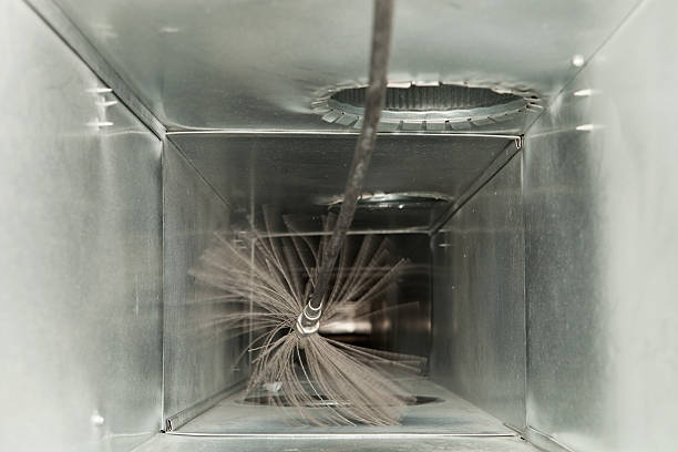 Best Best Air Duct Cleaning Company  in Squirrel Mountain Valley, CA