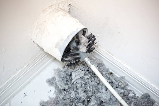 Best Local Air Duct Cleaning Services  in Squirrel Mountain Valley, CA